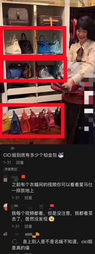 抖音十大豪宅排行榜图片(抖音十大狗窝豪宅)插图14
