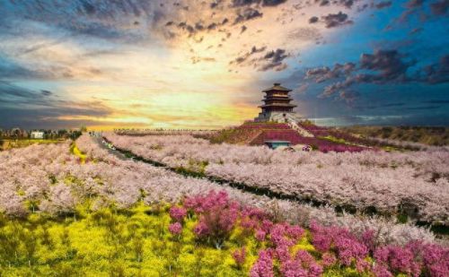 郑州市十大景点排行榜图片(郑州室内好玩又免费的十大景点)插图47