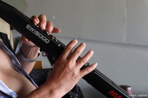 进口电吹管十大名牌排行榜(玩电吹管的危害)