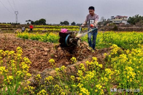 中国微耕机十大品牌排行榜(微耕机什么牌子的最好)