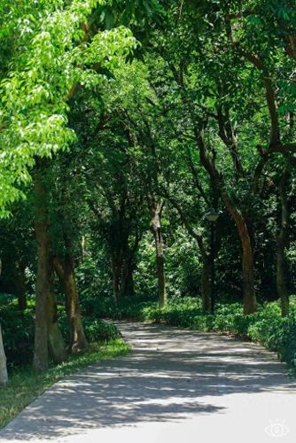 深圳户外徒步十大排行榜(深圳户外徒步群)插图76