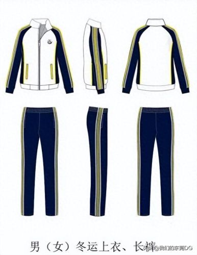 东莞市十大最美校服排行榜(东莞市最美校服)插图13