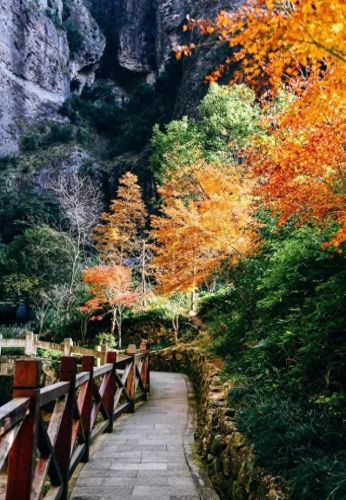 莫干山景点十大排行榜(莫干山必去八个景点)插图70