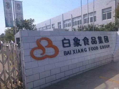 平舆县十大首富排行榜名单(平舆首富武飞媳妇)插图3