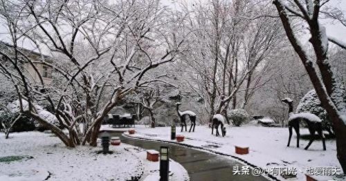 北京市十大独栋别墅排行榜(谷爱凌北京别墅)插图78