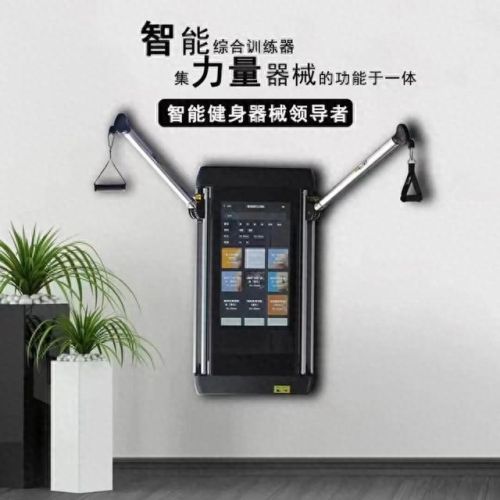 墙上健身设备十大排行榜(中国十大健身器材品牌)插图9