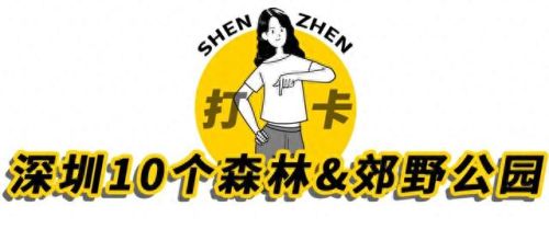 深圳户外徒步十大排行榜(深圳户外徒步群)插图1
