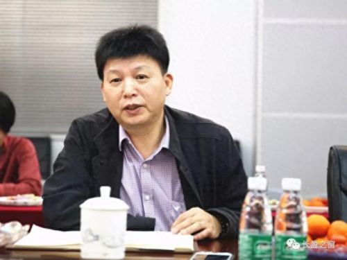 安庆市本土十大富豪排行榜(安庆十大有钱人)插图14