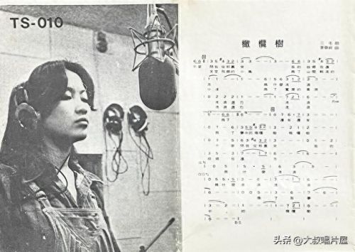 十大优秀中文老歌曲排行榜(经典怀旧歌曲排行)