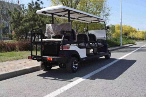 观光车十大品牌排行榜图片(观光车哪个牌子最好)插图1