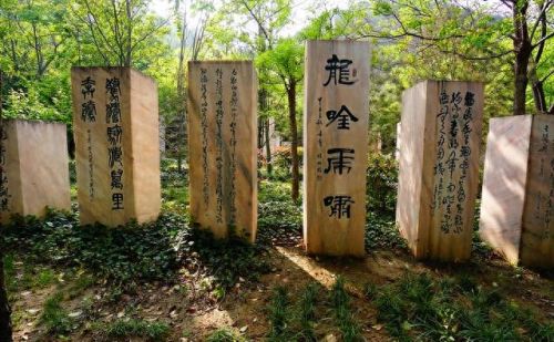 郑州市十大景点排行榜图片(郑州室内好玩又免费的十大景点)插图11