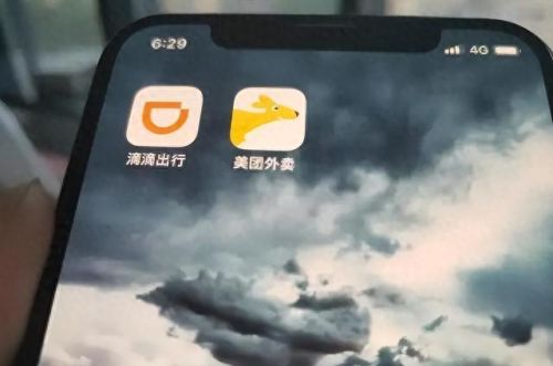 十大股东占比排行榜(片仔癀十大股东排名)插图