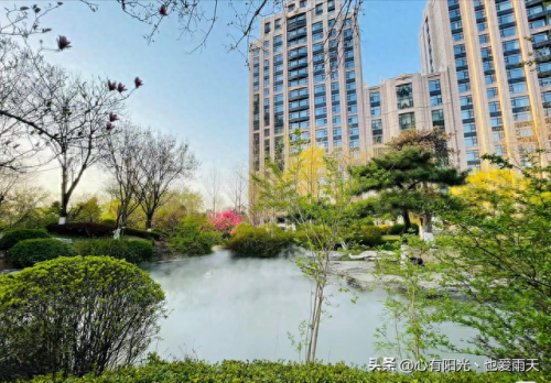 北京市十大独栋别墅排行榜(谷爱凌北京别墅)插图60