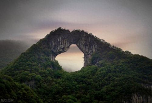 十大真实网文排行榜知乎(网文小说十大神剧)