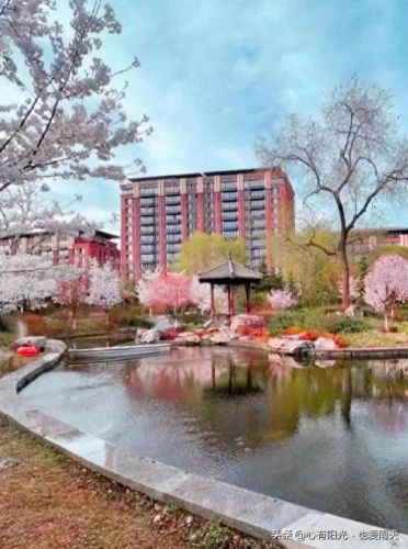 北京市十大独栋别墅排行榜(谷爱凌北京别墅)插图68