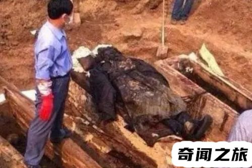 家里找不到东西莫名被咬(海口一家30多人被排蜂咬身亡)插图2