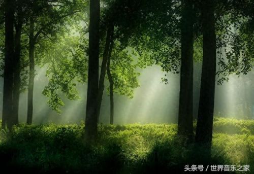 十大耐听钢琴曲排行榜(十大钢琴曲手机铃声)插图1