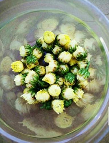 雪菊的十大排行榜(四种人不宜喝雪菊)插图63
