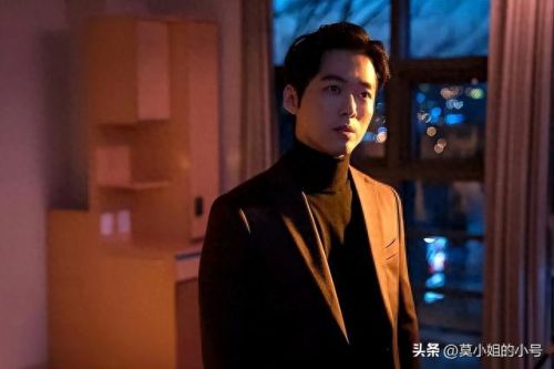 韩国十大犯罪连续剧排行榜(韩国十大财阀犯罪电视剧)插图27