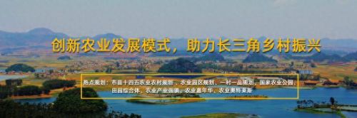 世界种植体十大品牌排行榜(世界十大种植牙品牌排名)插图