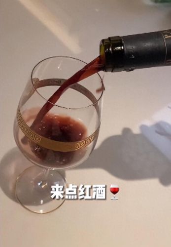抖音十大豪宅排行榜图片(抖音十大狗窝豪宅)插图28