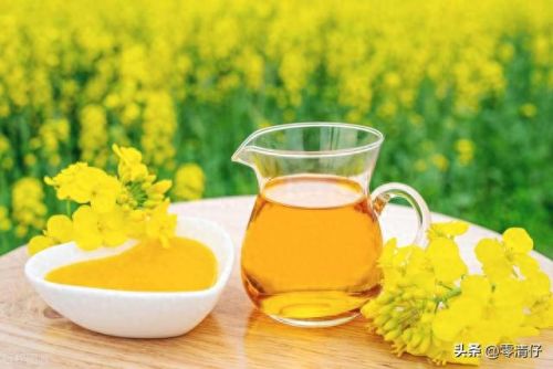 香港十大食用油排行榜(十大放心食用油)插图1