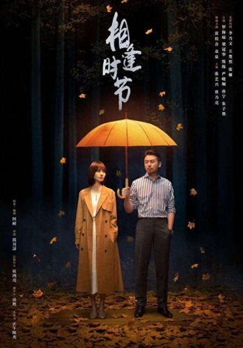 十大烂尾国产电视剧排行榜(国产十大缉毒电视剧)插图41
