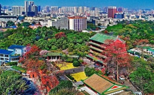 广州十大好玩的地方排行榜(广州好玩地方推荐)插图16