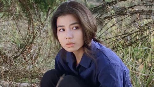 最新香港十大美女排行榜(香港十大美女经典电影)插图21