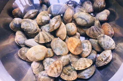 十大补锌最快的食物排行榜(补锌)插图33