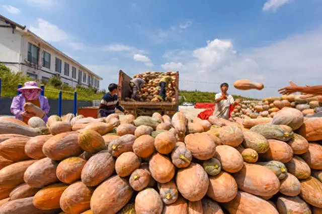 全国十大菜区排行榜图片(全国十大食品排行榜)插图33
