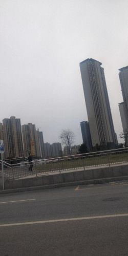 荆门十大豪房排行榜图片(荆门最好的别墅是哪里)插图