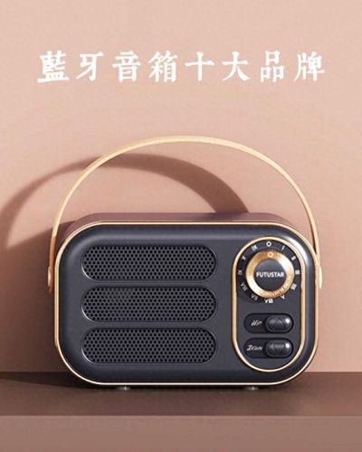 十大蓝牙音箱品牌排行榜(公认十大最好蓝牙耳机)