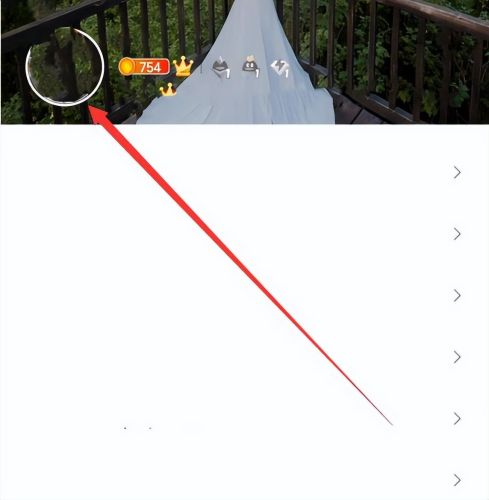 qq照片墙怎么关闭(qq最新版照片墙怎么显示不出来)插图