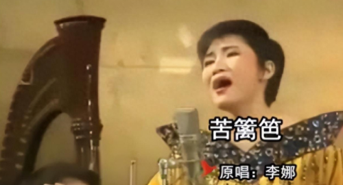 中国十大不红歌手排行榜(中国十大歌手年度排名)插图29
