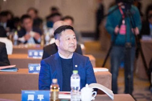 安庆市本土十大富豪排行榜(安庆十大有钱人)插图11