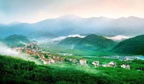 洞头县十大富豪排行榜最新(洞头县财政收入)插图16