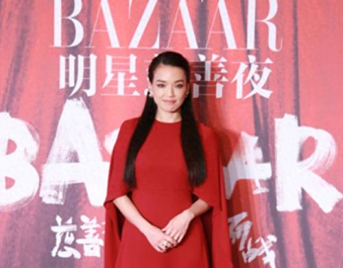 十大女演员中的演技排行榜(演技最差的十大男演员)插图47