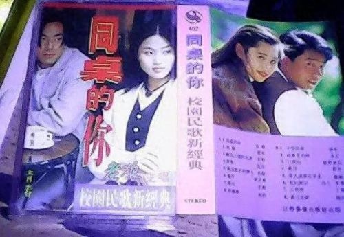 十大催泪青春歌曲排行榜(十首青春最好听的歌曲)插图21