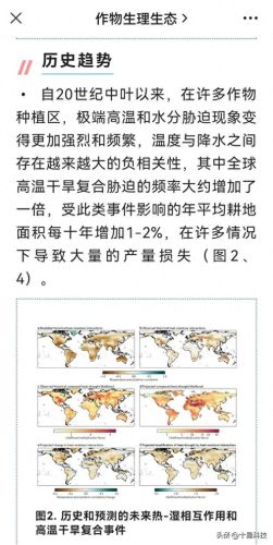 十大品牌玉米种子排行榜(玉米种子十大品牌排行榜图片)插图2 十大品牌玉米种子排行榜(玉米种子十大品牌排行榜图片)插图2