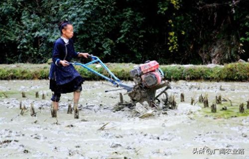 中国微耕机十大品牌排行榜(微耕机什么牌子的最好)插图 中国微耕机十大品牌排行榜(微耕机什么牌子的最好)插图