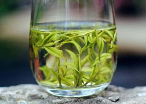 金骏眉十大排行榜(十大品牌金骏眉茶排名)插图14