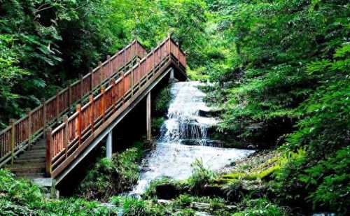成都十大网红景点排行榜(成都十大网红打卡地)插图31