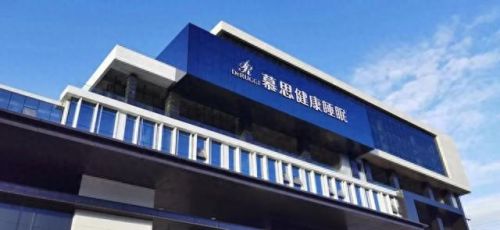 摹思床垫十大名牌排行榜(口碑最好的按摩垫)插图