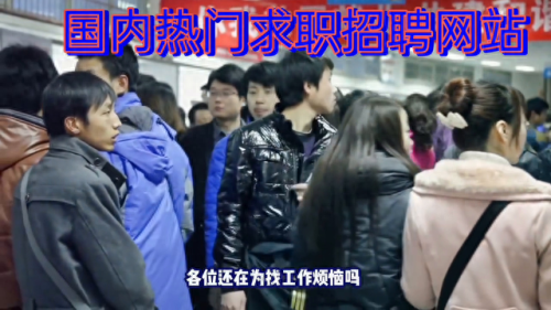 十大招聘网站排行榜大全(本地推土机司机招聘的网站)插图