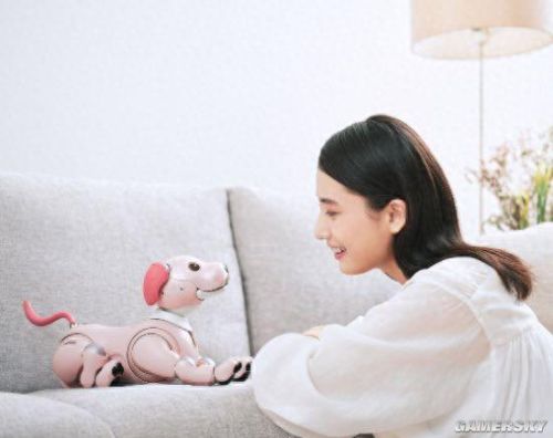 十大实用智能机器人排行榜(目前最好的智能机器人)