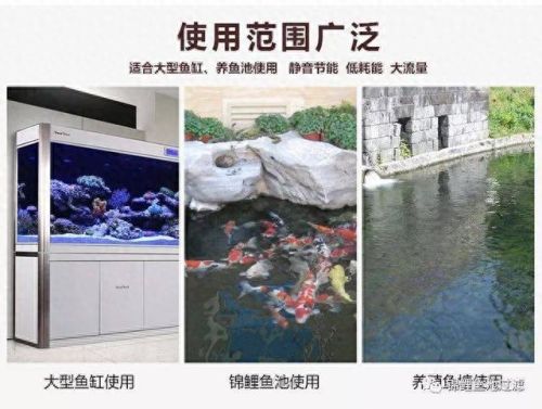 鱼池水泵十大排行榜(鱼池循环水泵十佳品牌)插图2