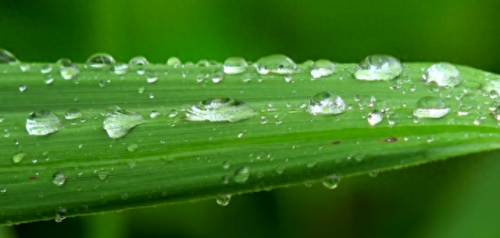 广西十大矿泉水品牌排行榜(广西矿泉水十大排名)