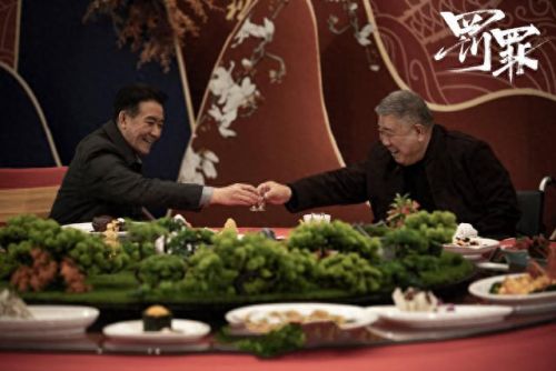 十大烂尾国产电视剧排行榜(国产十大缉毒电视剧)插图33