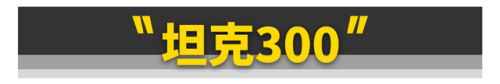 十大生命力车型排行榜图片(十大自吸suv车型排行榜)插图3